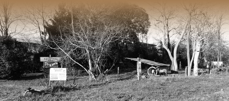 Agriturismo da Tina e le grandi pianure riordinate